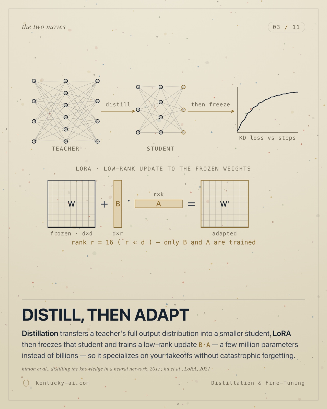 Slide 3 of 11. Distill, then adapt: teacher and student networks plus the LoRA decomposition W prime equals W plus B times A, with dimension labels.